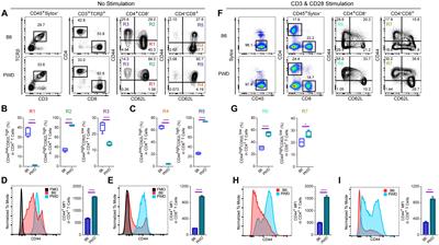 Precise and Rapid Validation of Candidate Gene by Allele Specific Knockout With CRISPR/Cas9 in Wild Mice